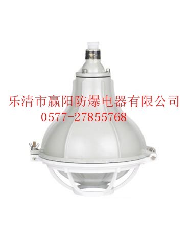 供应BGL-200L系列增安型防爆灯